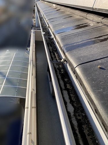 太陽光発電　太陽光パネル　ソーラー　鳥被害